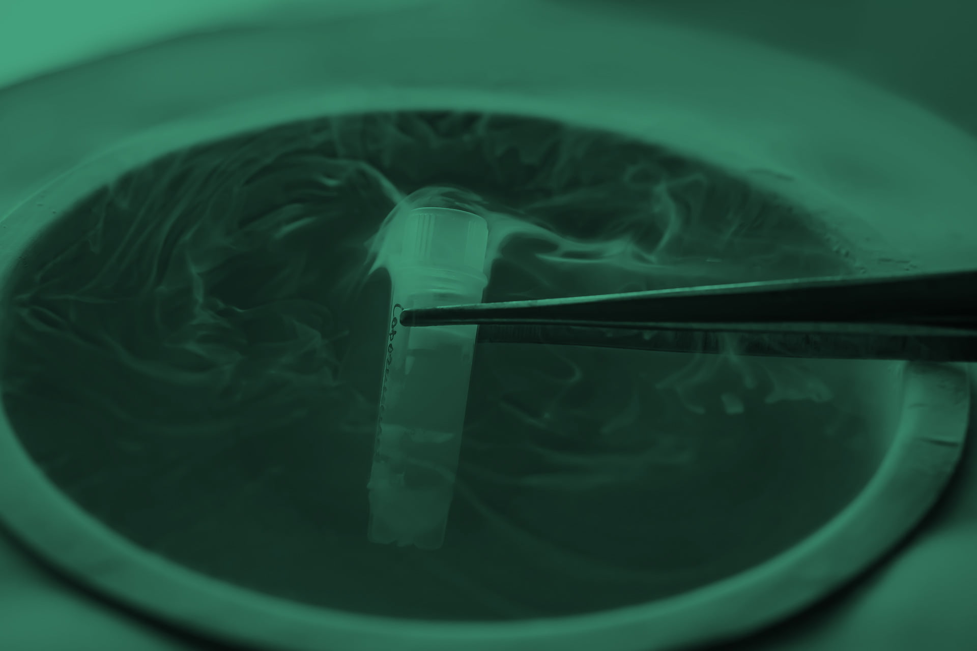 ceti-img-criopreservacao_embrioes